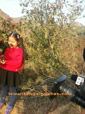 中央电视台《公益宣传节目》昨日在河北省承德市某山区拍摄，下面是部分花絮